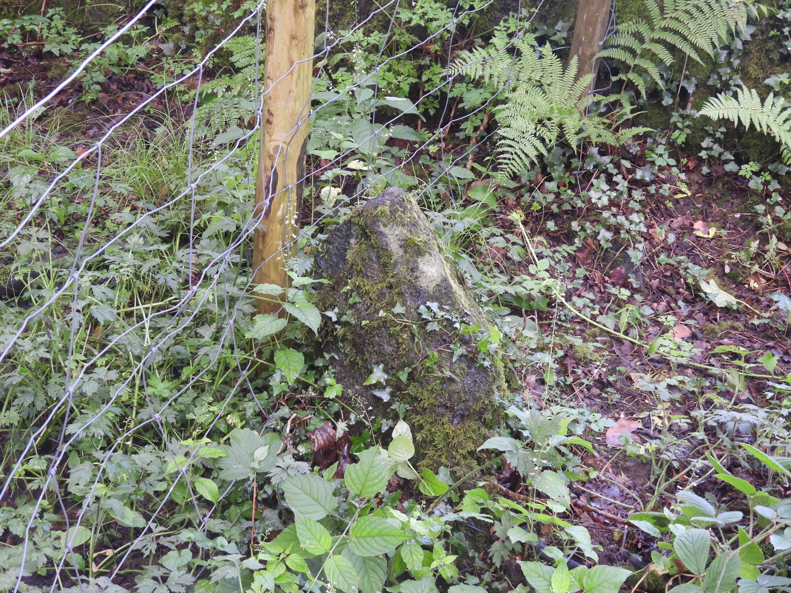 5. Old Boundary Stone 2c