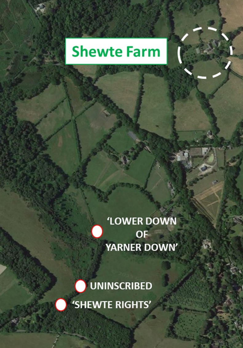 5. Shewte Farm Google Earth