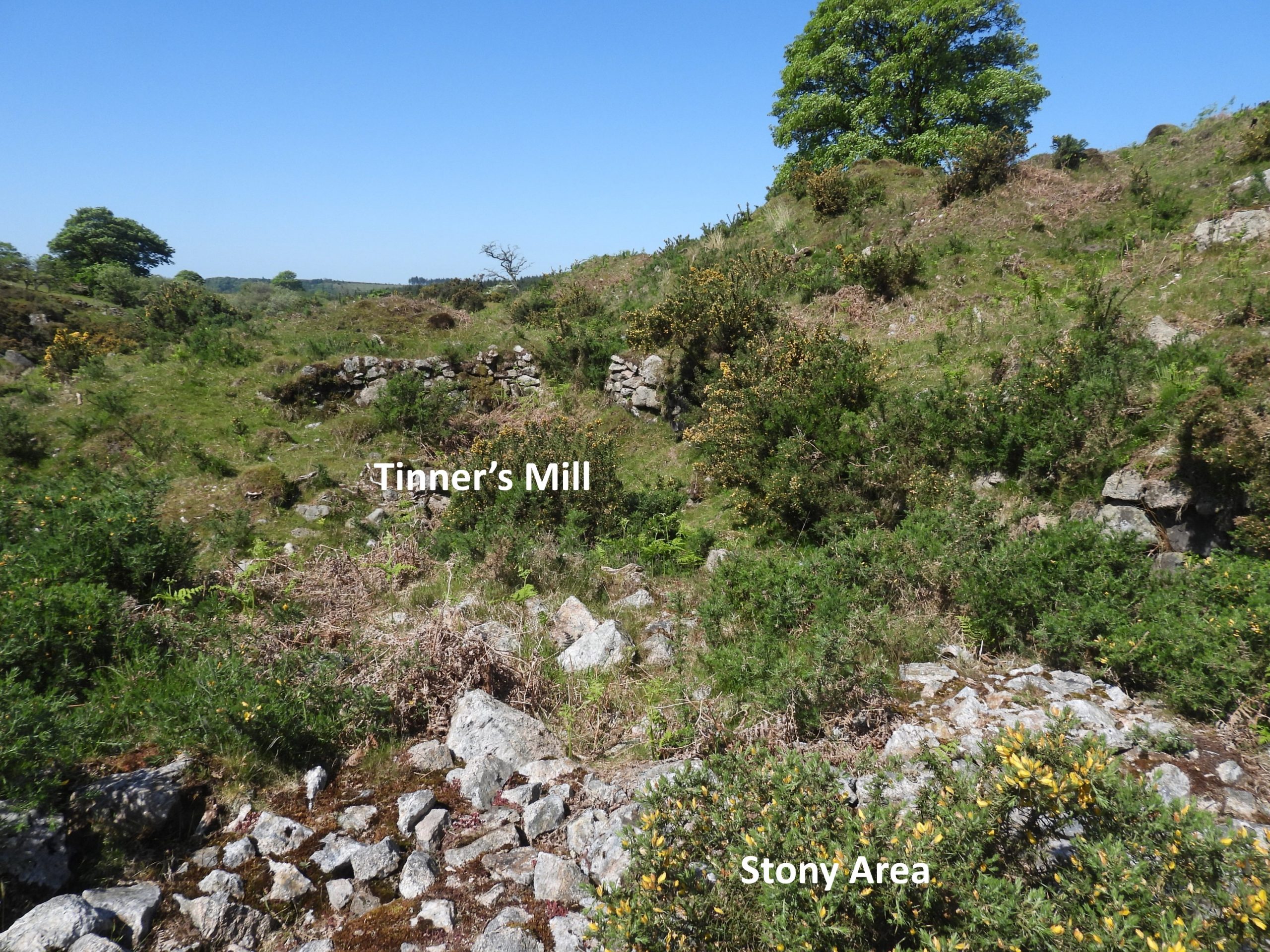 5. Tinners Mill a