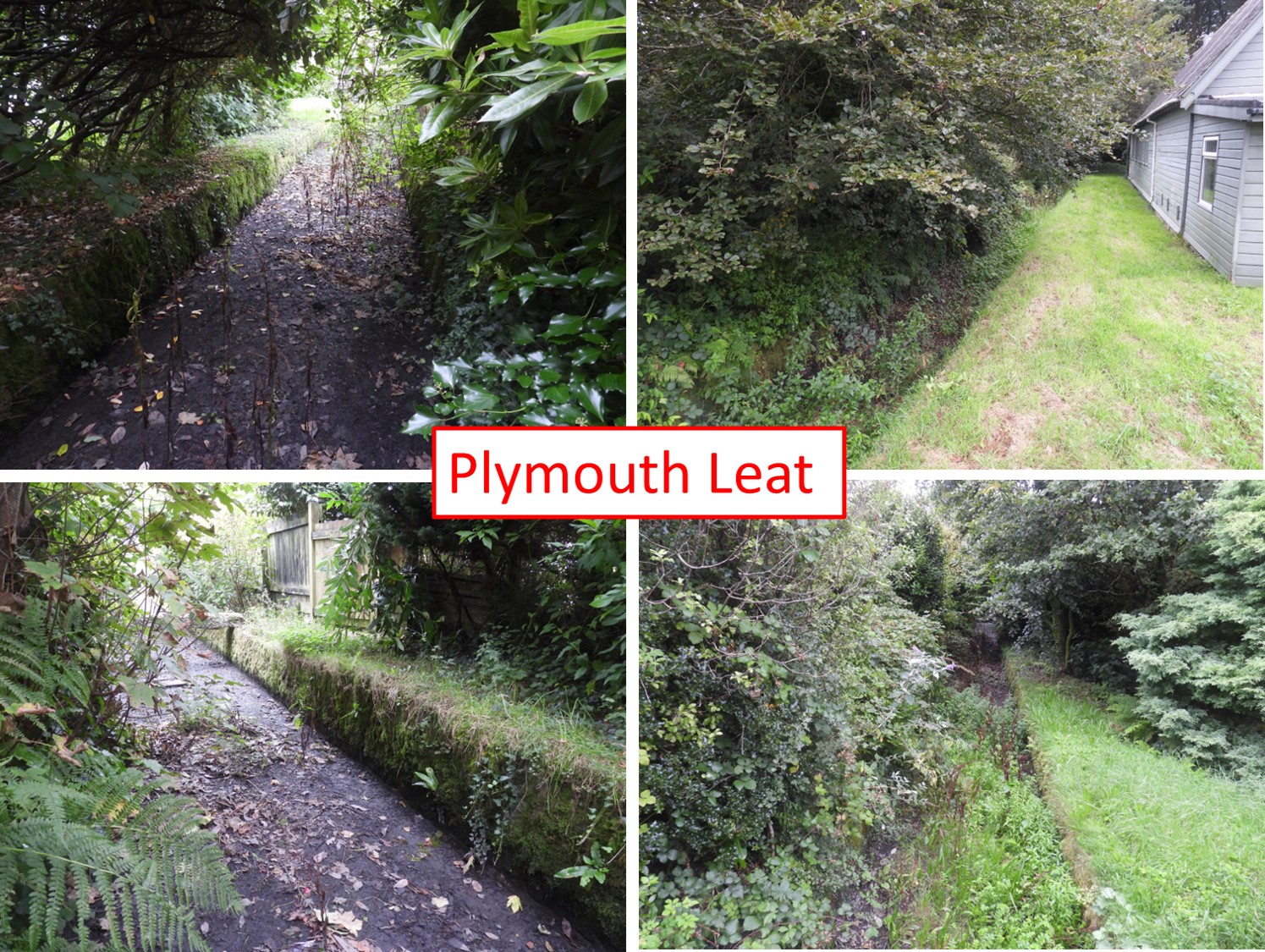 3. Plymouth Leat