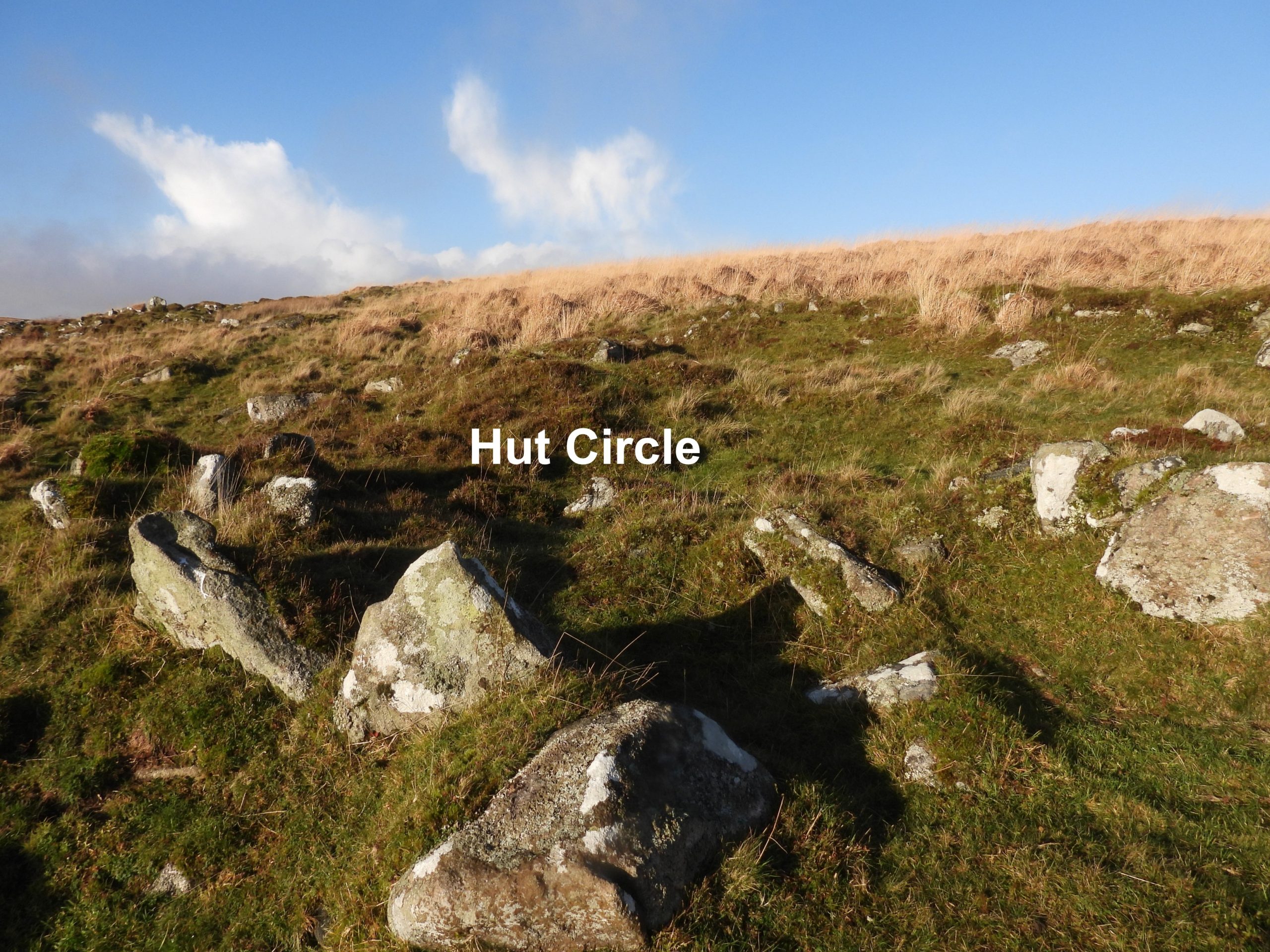 Hut Circle - Erme Pound