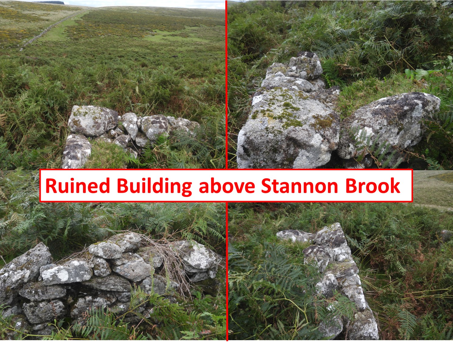 15. Ruined Building above Stannon Brook a