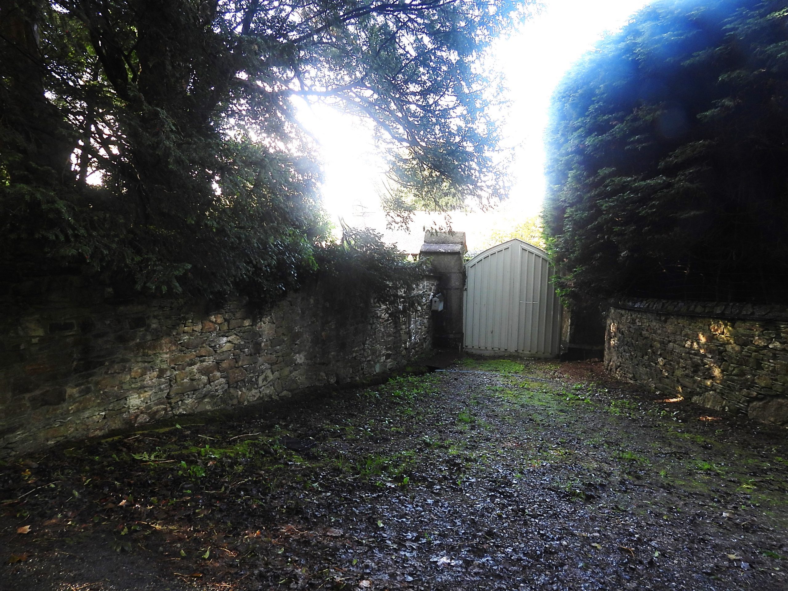 17. Walreddon gate