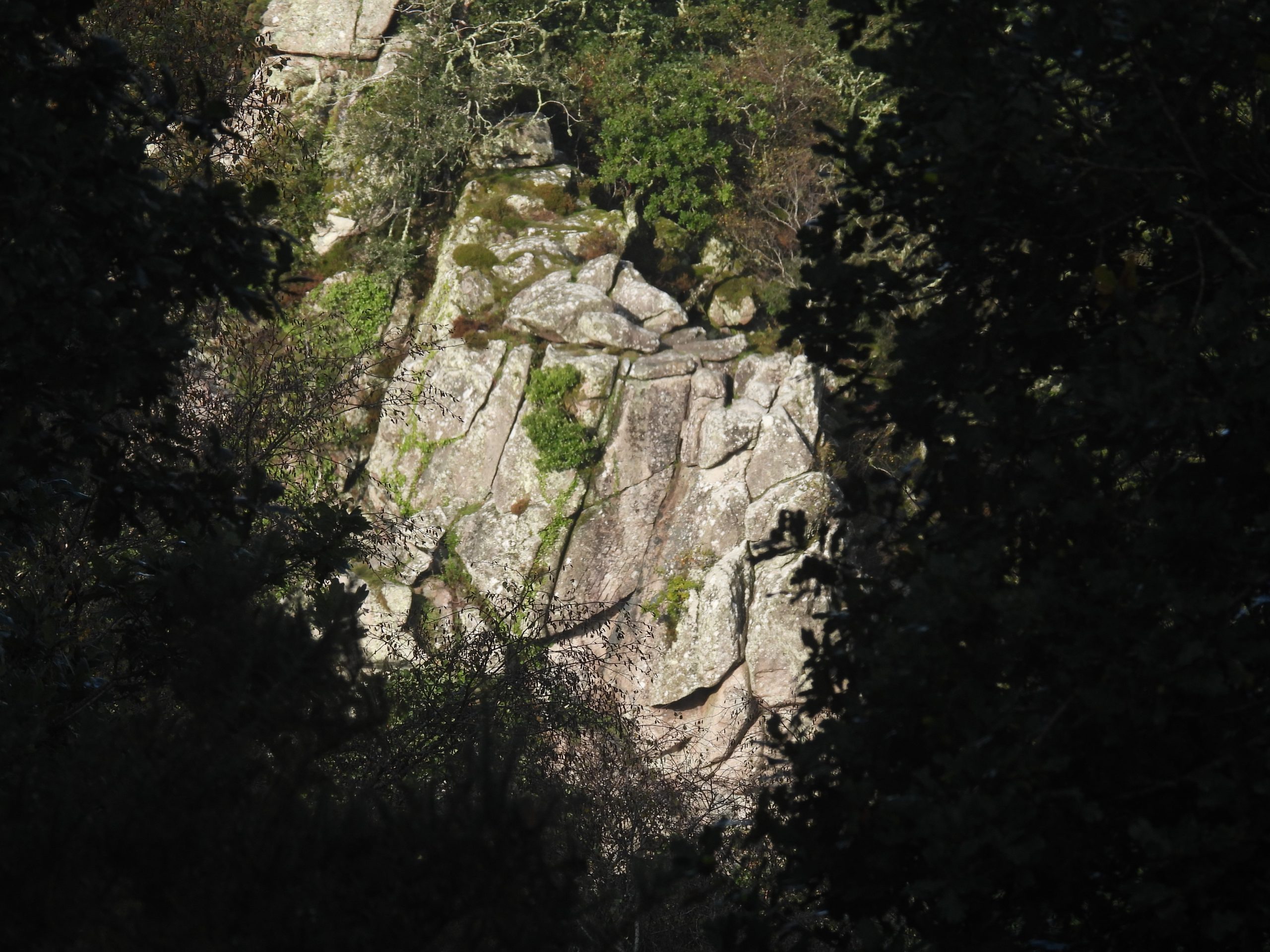 16. Dewerstone Rock a