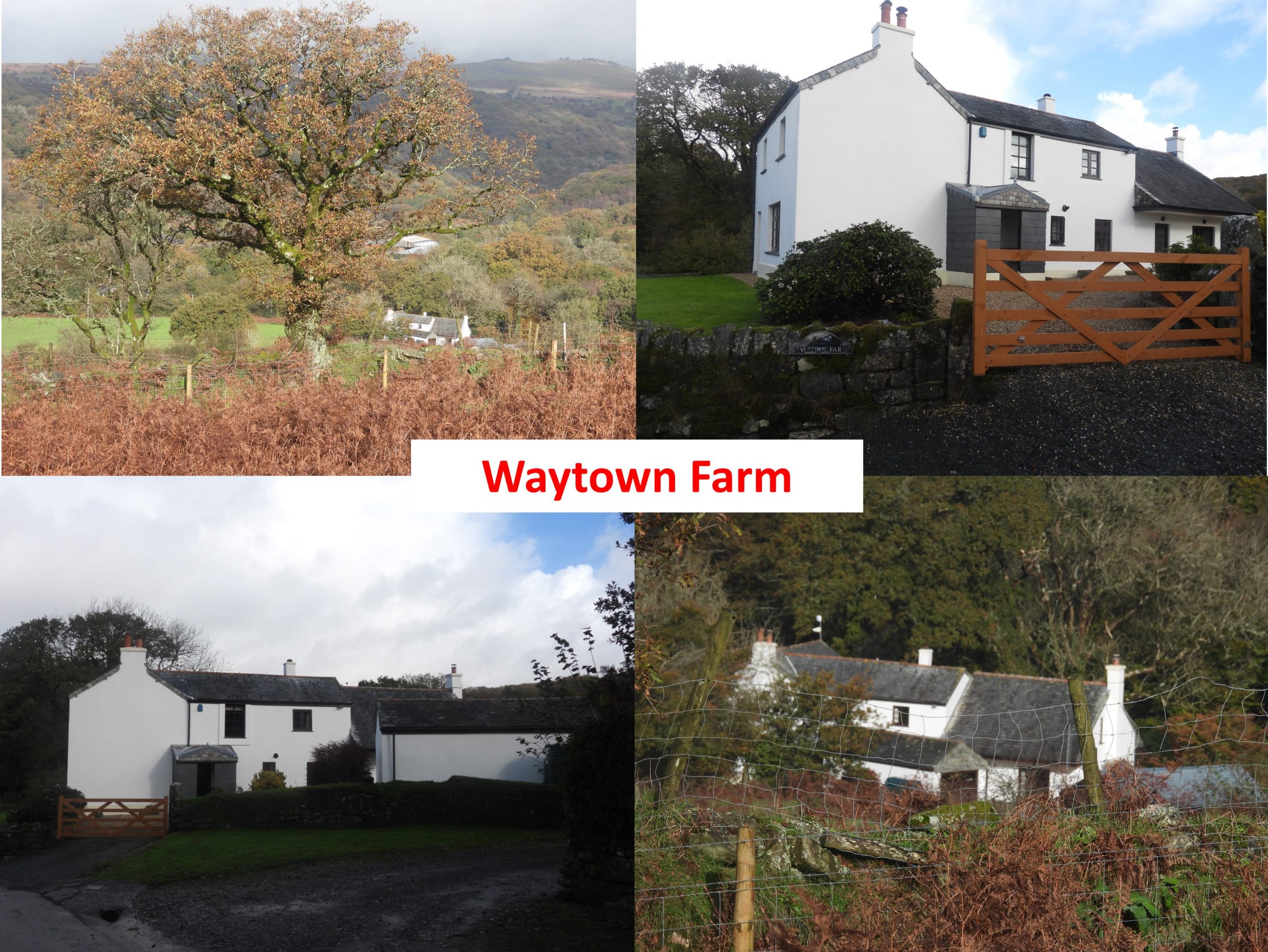 9. Waytown Farm