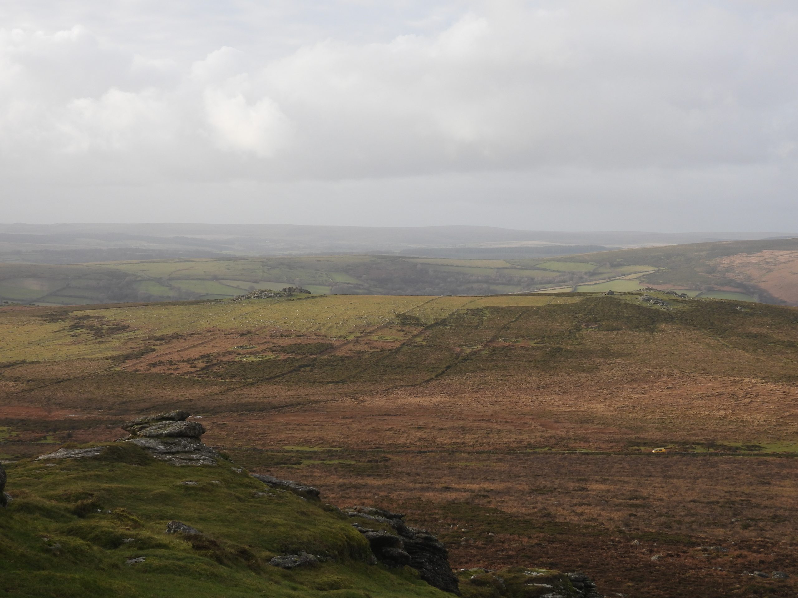 11. Foales Arrishes from Rippon Tor
