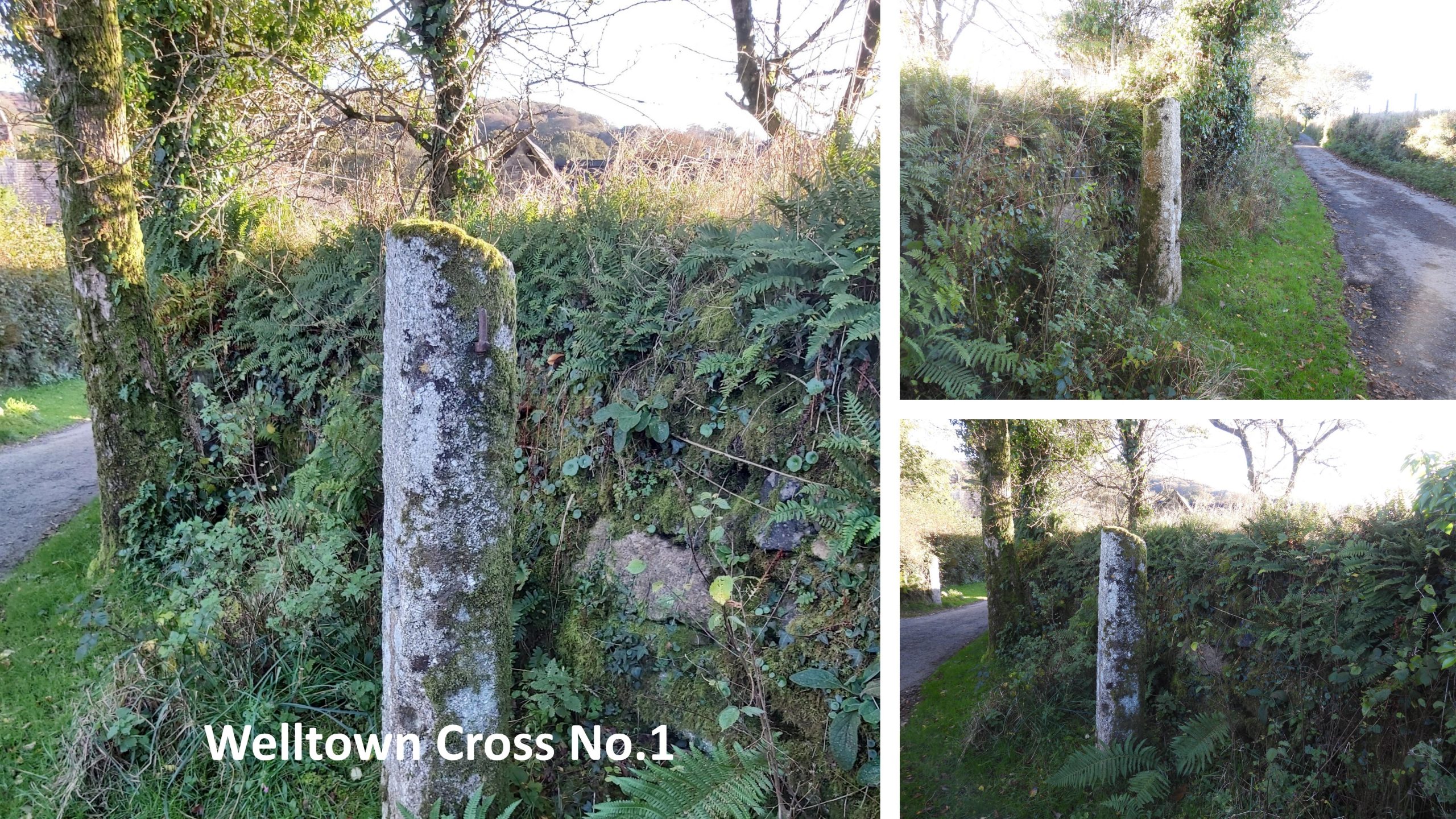 21. Welltown Cross No 1