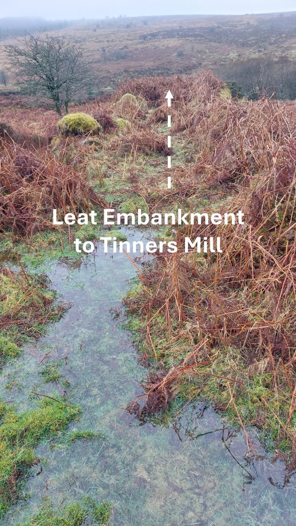 A14c. Leat to Tinners Mill