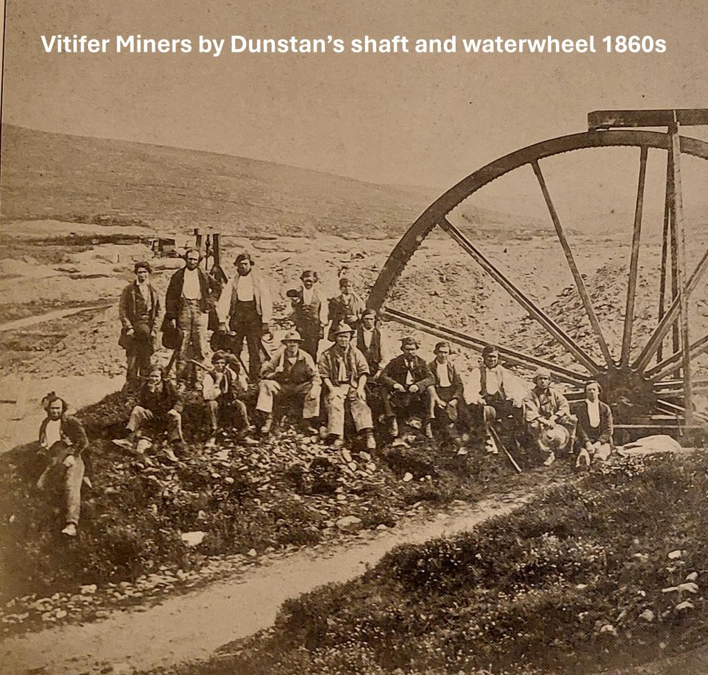 A20a. Vitifer Miners 1860s
