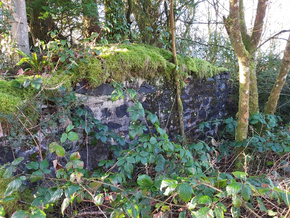 11. Mill Remains