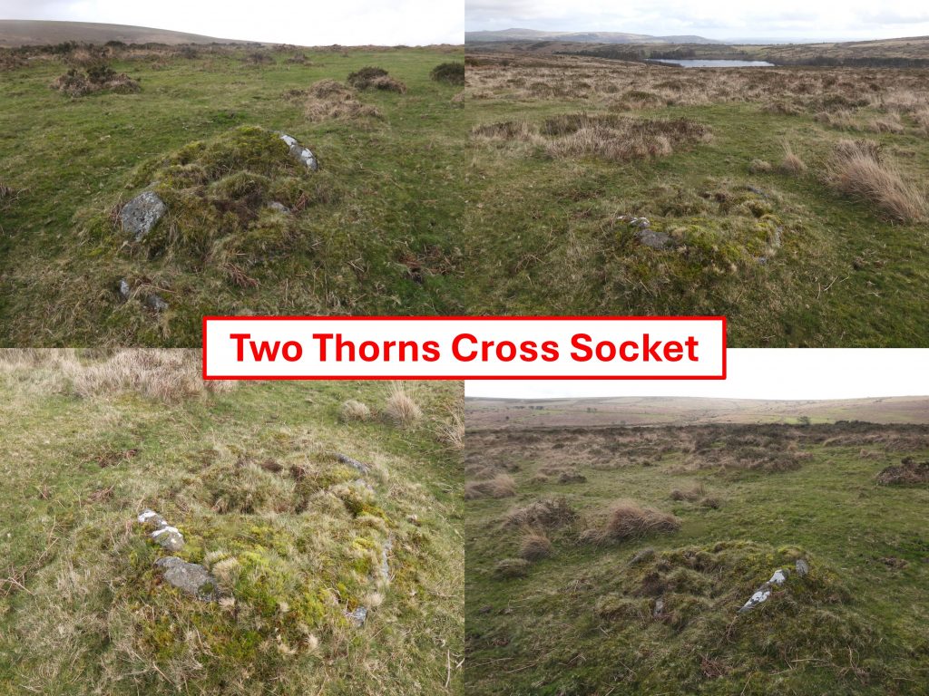 17. Two Thorns Cross Socket d