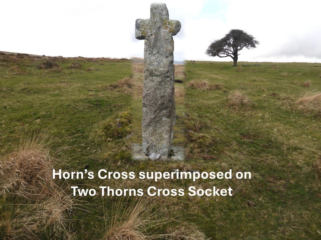 17. Two Thorns Cross Socket e