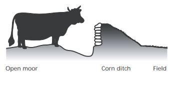 3. Corn Ditch c