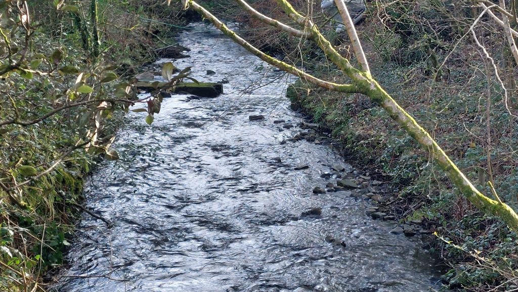 31. Colwell Brook