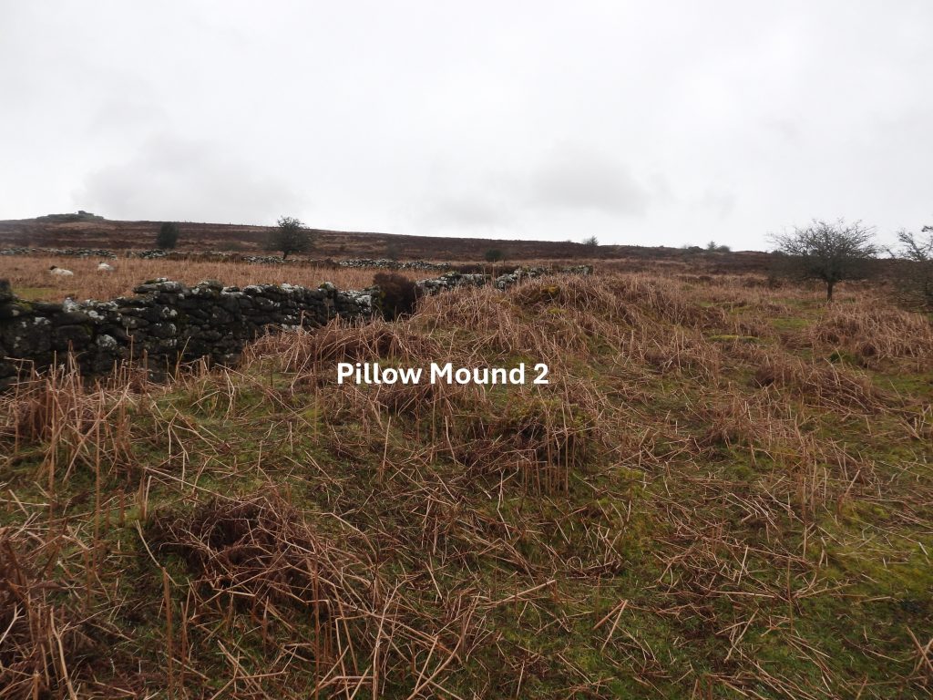 10. Pillow Mound 2a