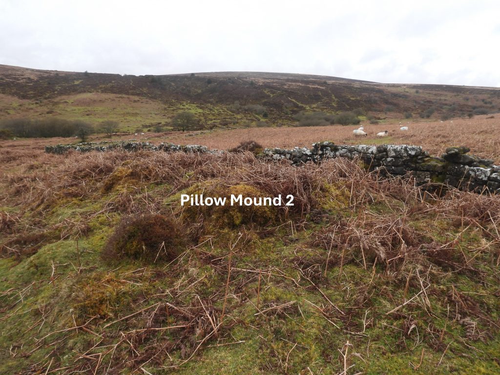10. Pillow Mound 2b