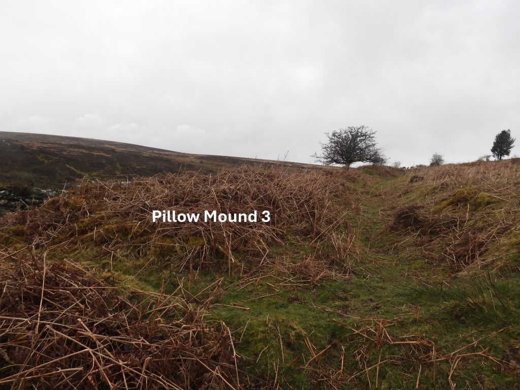 12. Pillow Mound 3b