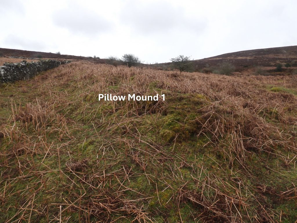 9. Pillow Mound 1b