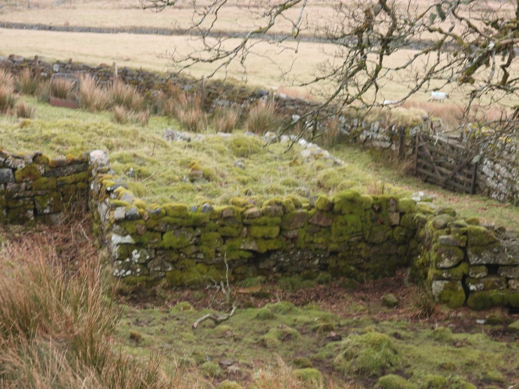 4a. Farmhouse