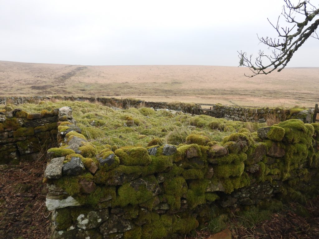 4b. Farmhouse