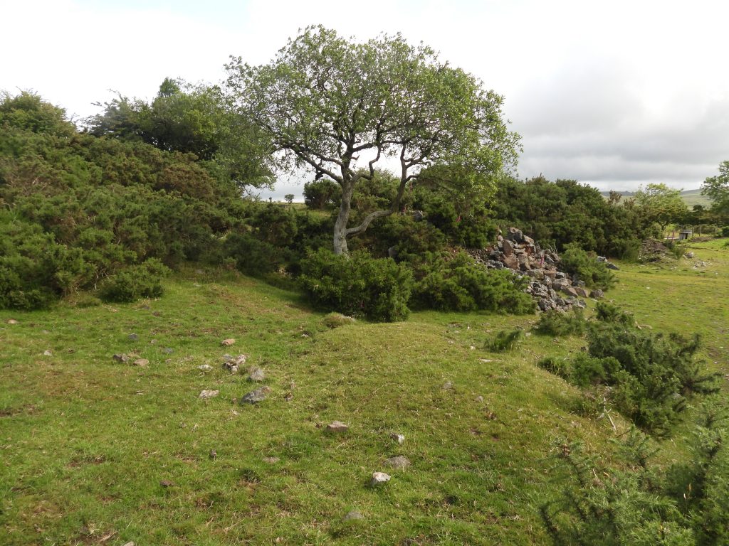 100. Start of Tramway from Ore Bin