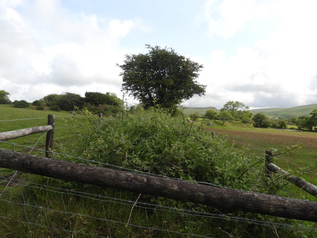 102. Start of Tramway from Ore Bin