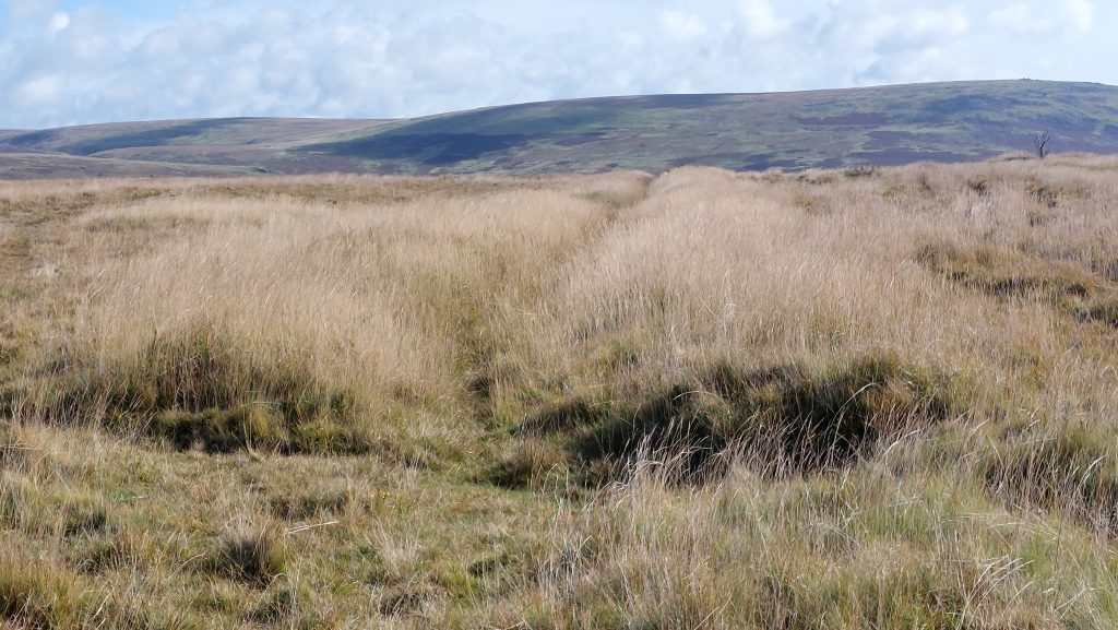 10d. Possible Flat-rod Channel