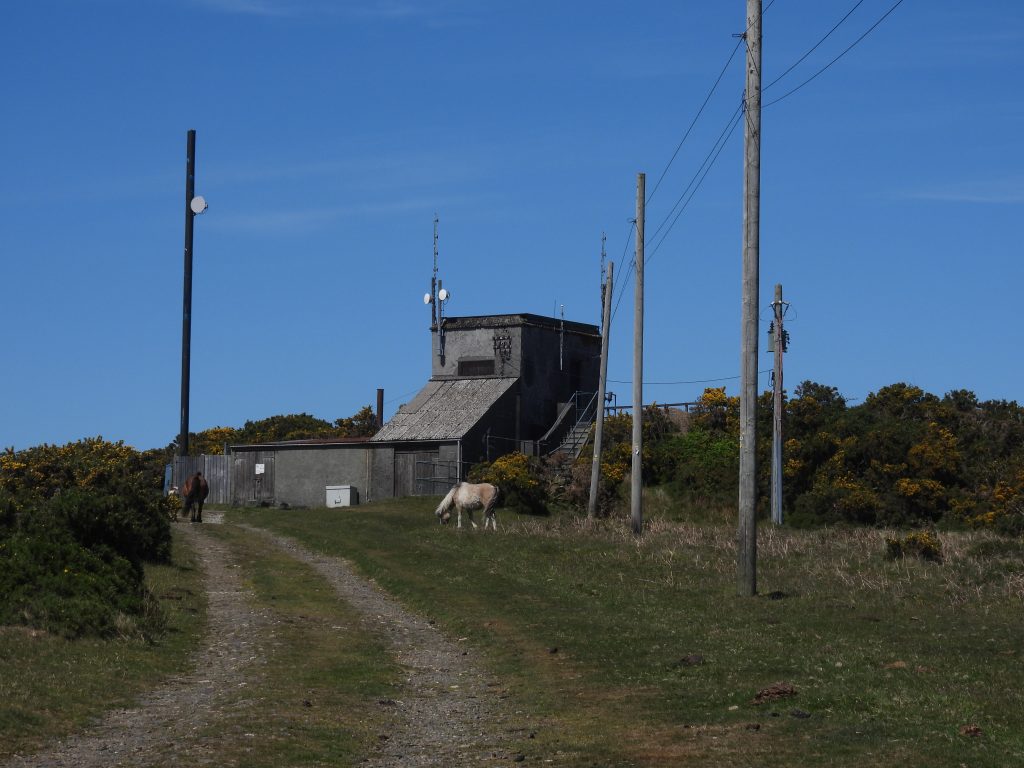 14. Screening House a