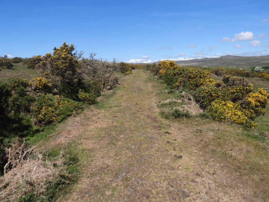 23. Track to North Shaft Area
