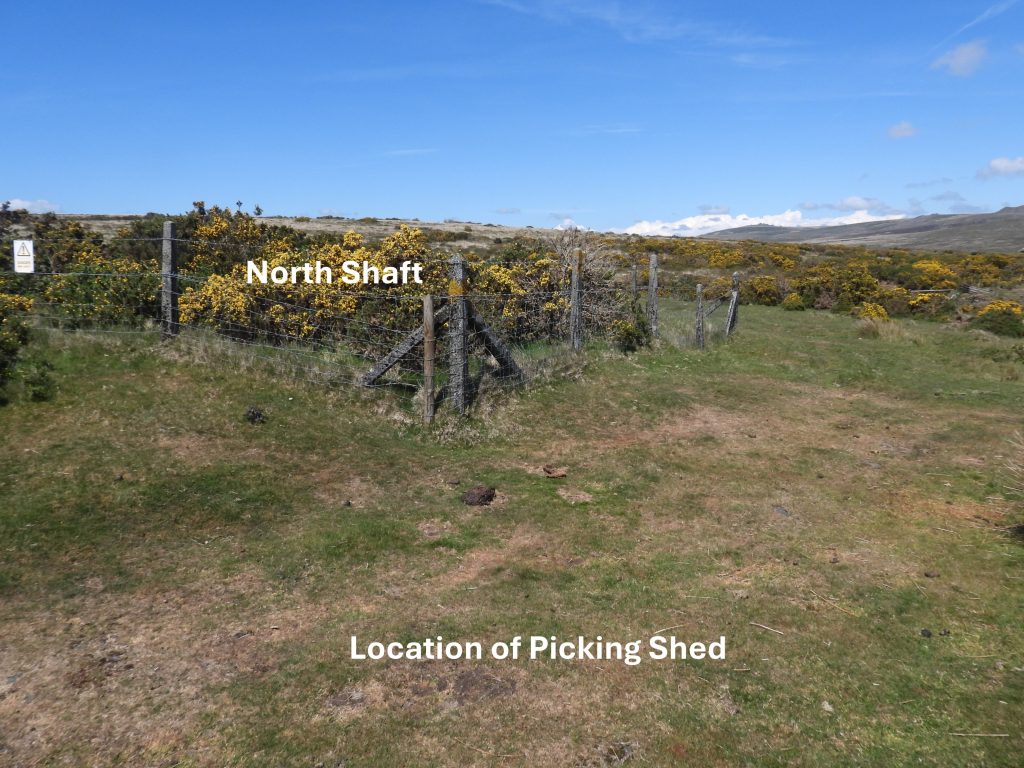 26. Picking Shed