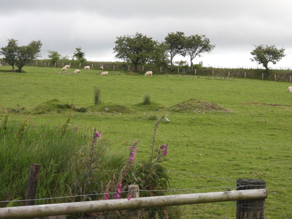 40. Old Shaft