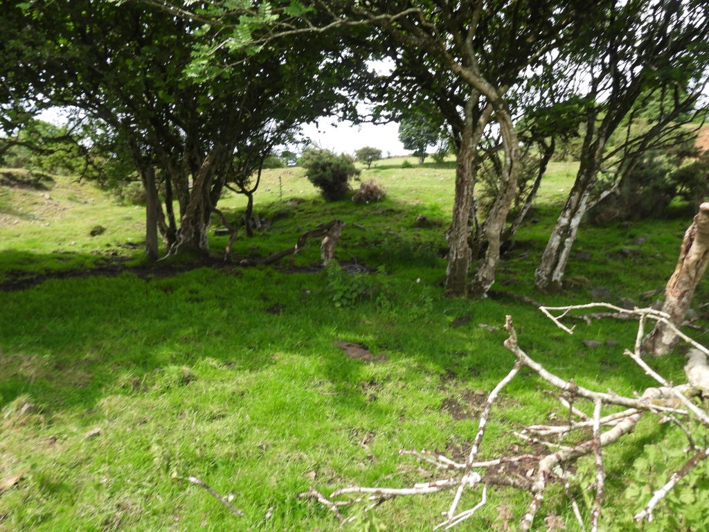65. Possible Area of Boiler House