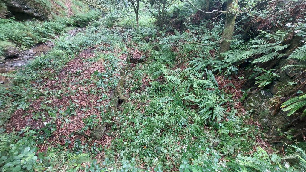 8.1a Overgrown Compressor House