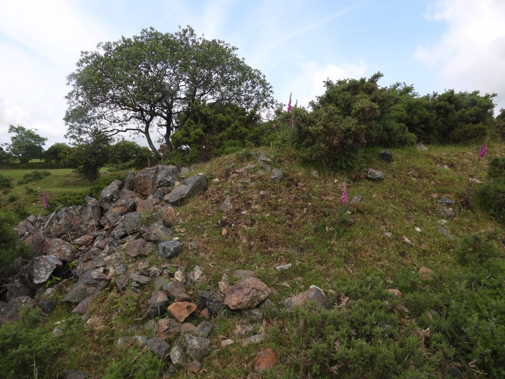 81. Ore Bin