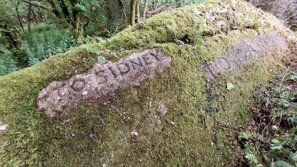24b. To Sidney and To Carlyle