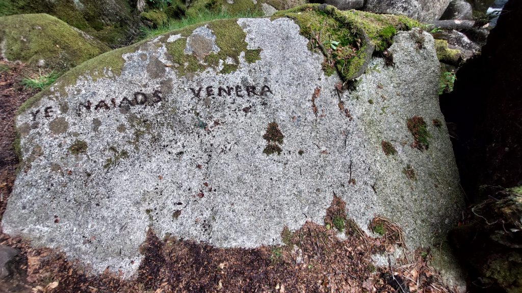 4b. Ye Naiada Venera