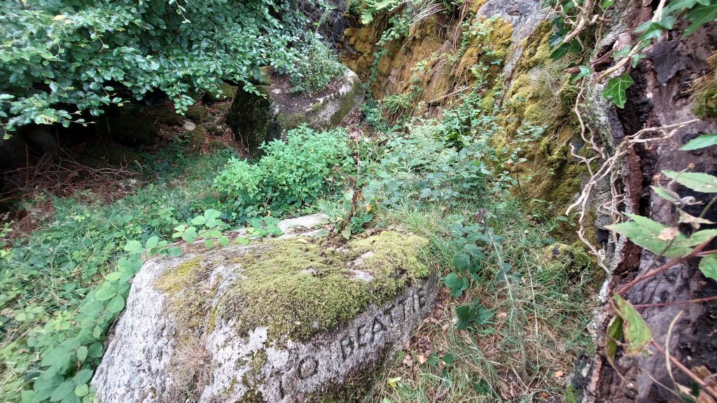 6b. To Beattie and To Collins