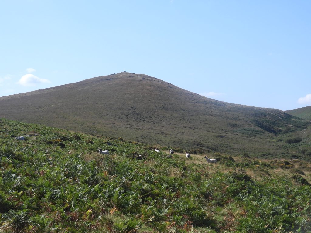 0. Steeperton Tor