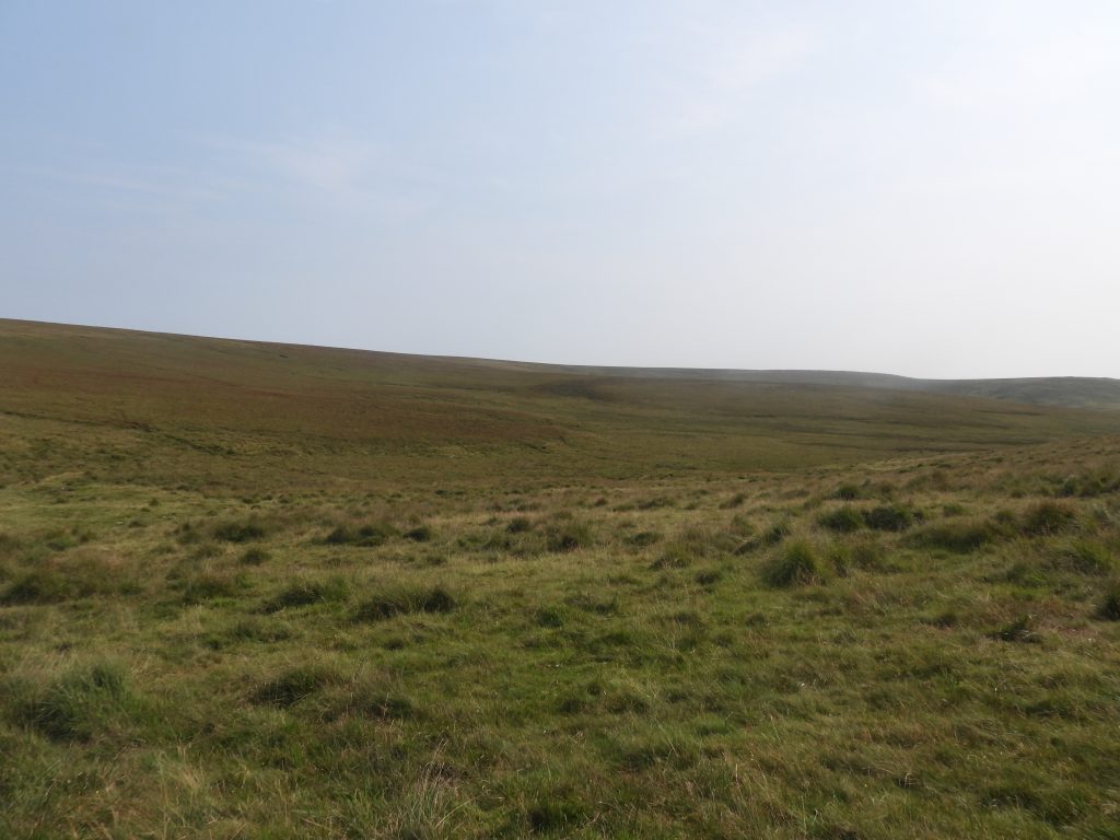 1. Brim Brook Head