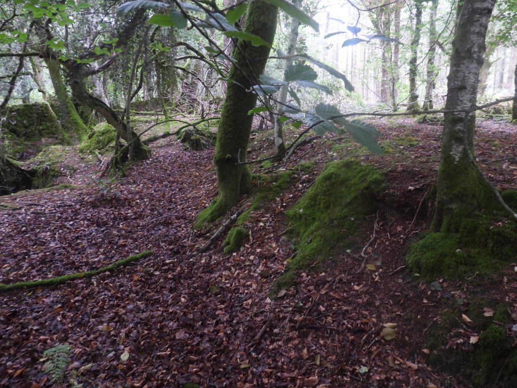 1. Holloway and Platform