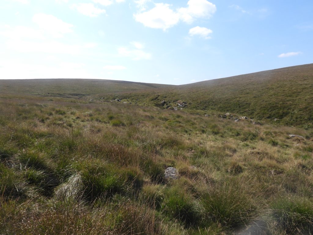 1. Steeperton Brook