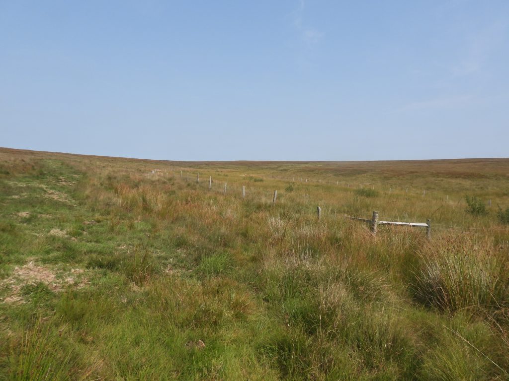 10. Vergyland Combe Bottom
