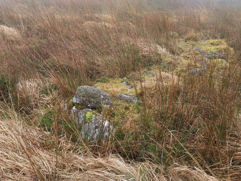 10a. Vergyland Combe Tinners Hut N