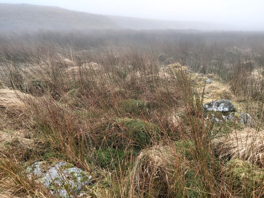 10c. Vergyland Combe Tinners Hut N