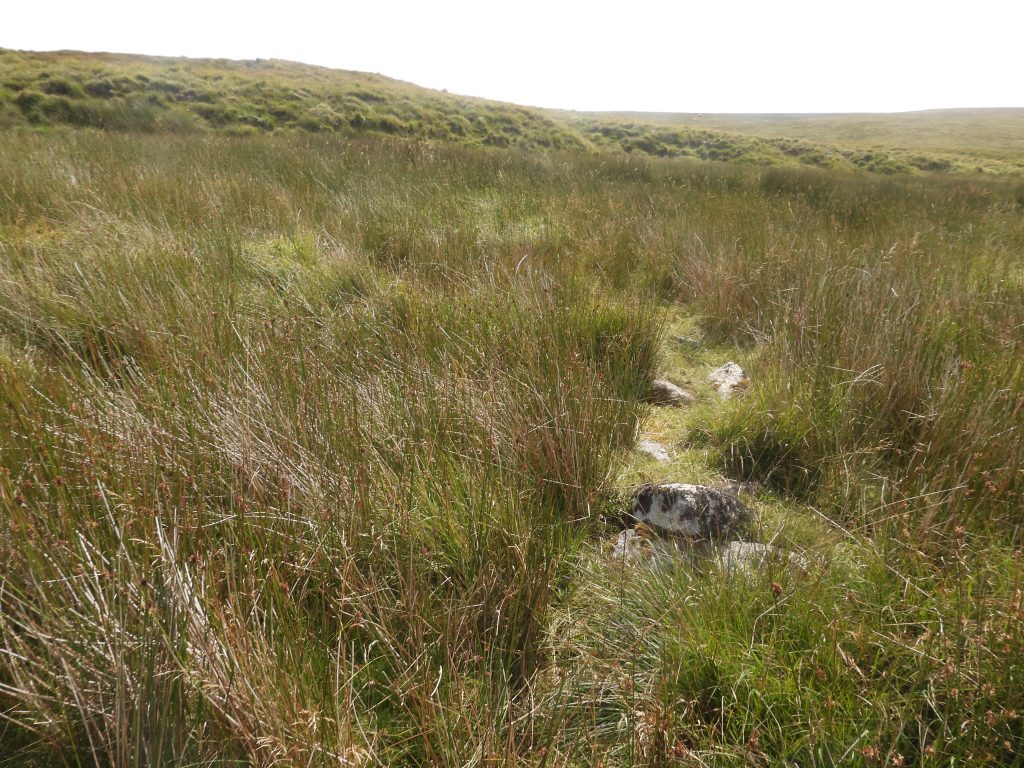 10e. West Wall