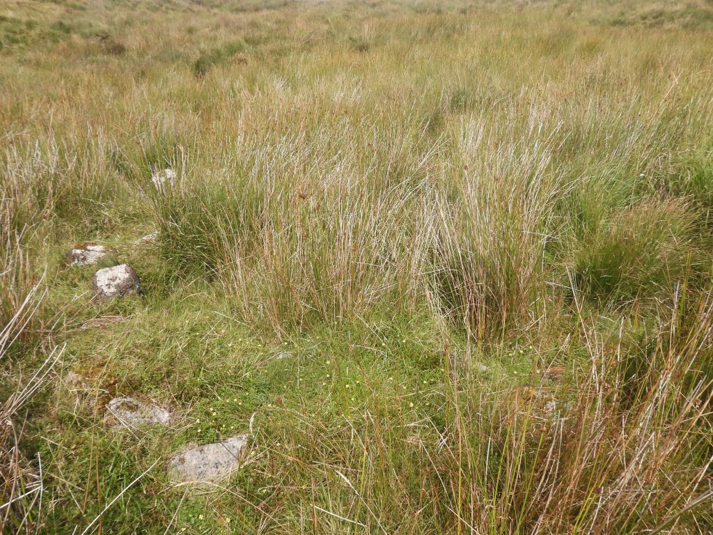 10f. South Wall