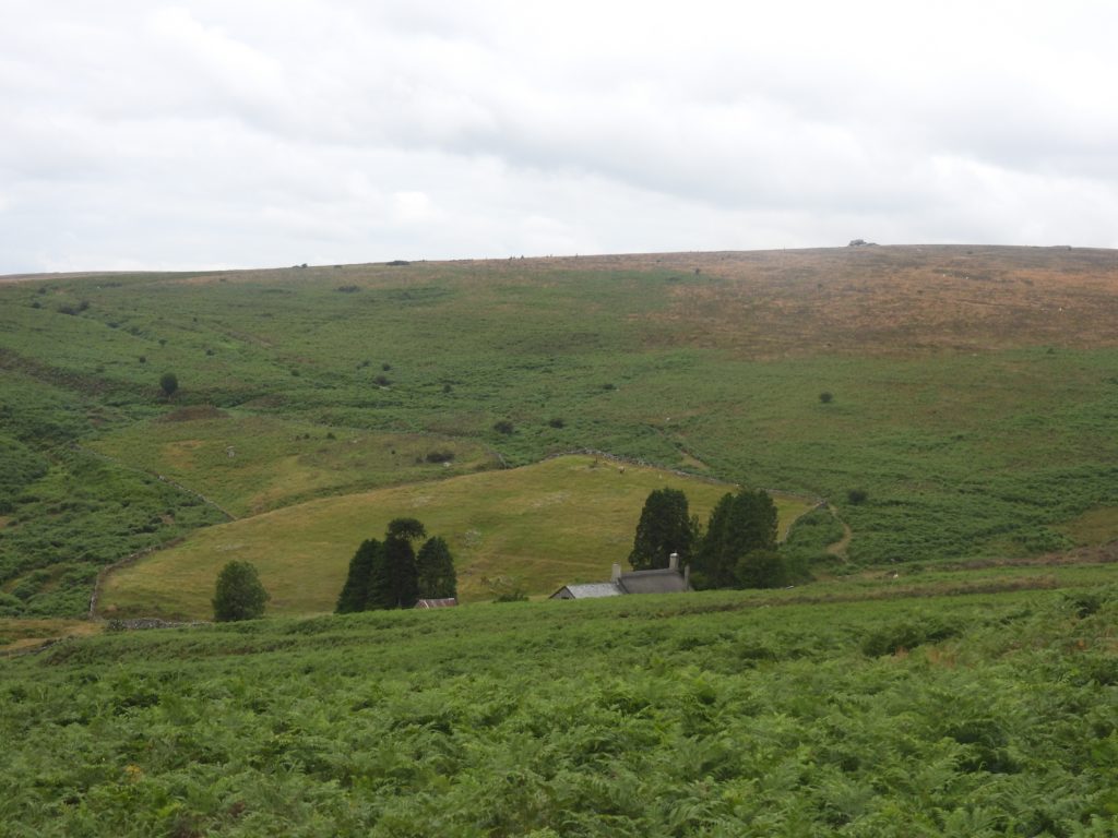 11z. Headland Warren Farm 3