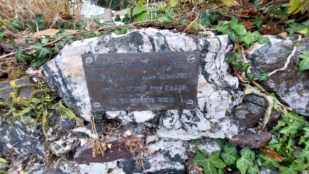12. Plaque