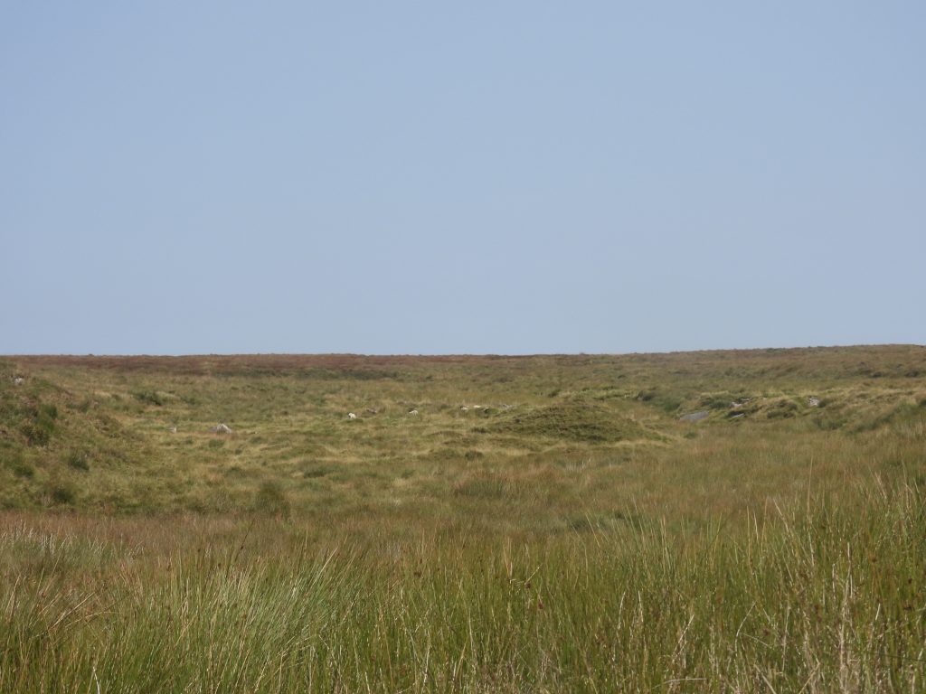 12. Vergyland Combe Upper