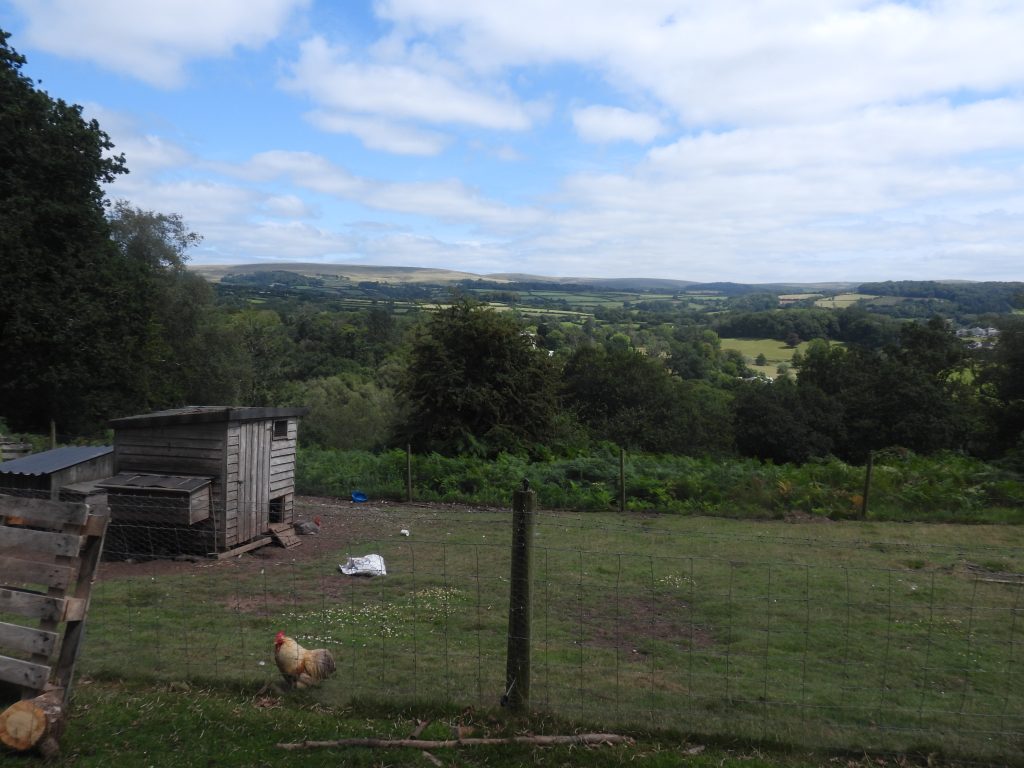 13. The View